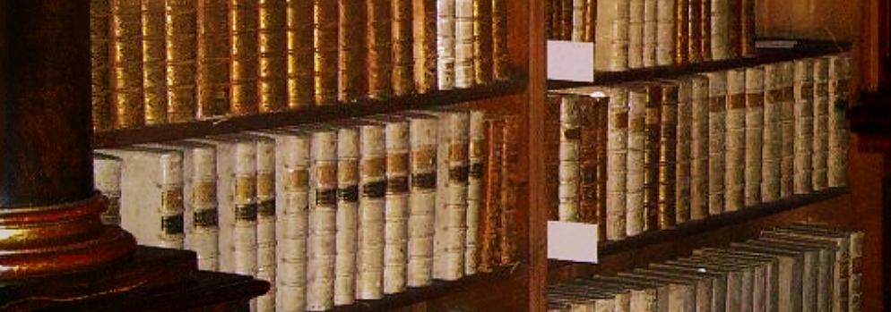 LIBRARY WITH A UNIQUE BOOK COLLECTION - GUIDED TOURS